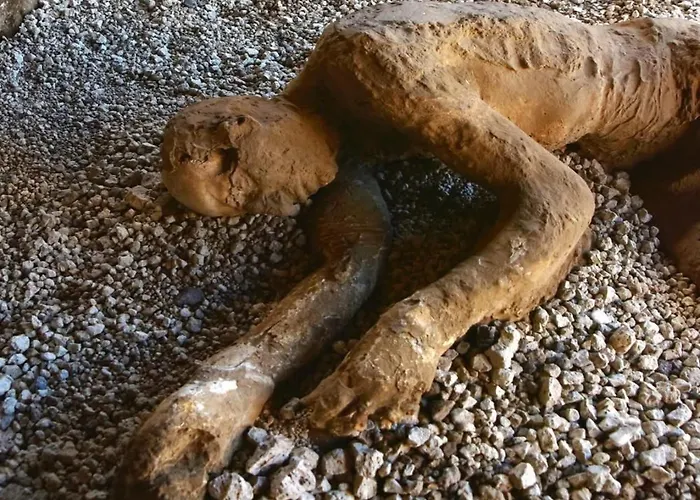 Olympus بيت ضيافة